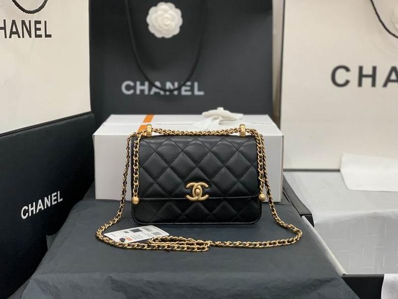 Chanel Handbags 354